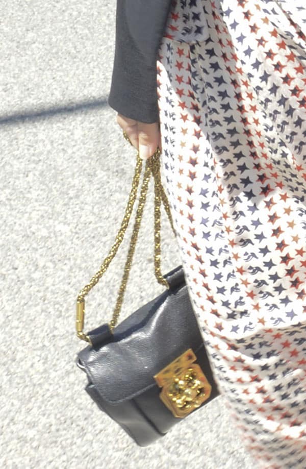 Rachel Bilson's luxury handbag with a twisted chain link