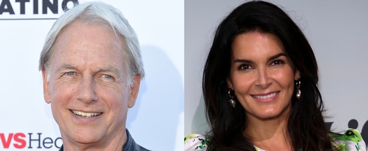 How Angie Harmon and Mark Harmon Are Connected